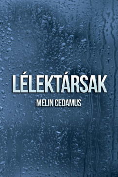 Llektrsak