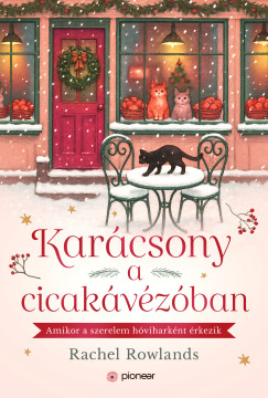 Karcsony a cicakvzban