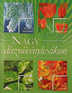 Nagy dsznvnylexikon
