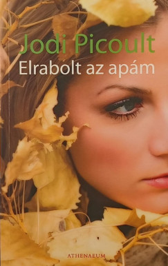 Elrabolt apm