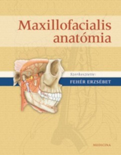 Fehr Erzsbet - Maxillofacialis anatmia