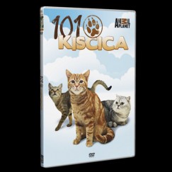 101 Kiscica - DVD