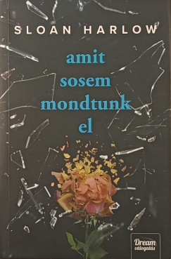 Amit sosem mondtunk el