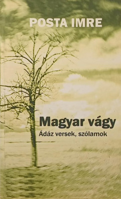 Magyar vgy