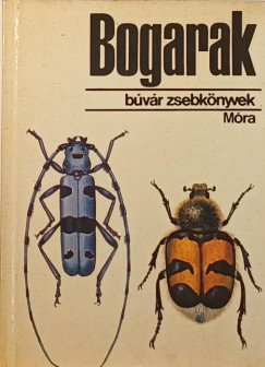 Bogarak (Búvár zsebkönyvek)