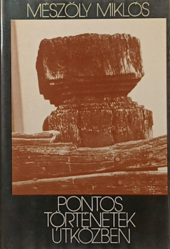 Pontos t�rt�netek �tk�zben