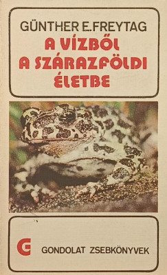 A v�zb�l a sz�razf�ldi �letbe