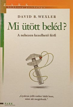 David B. Wexler - Mi ttt beld?