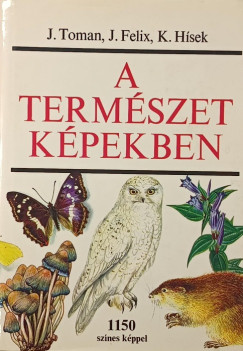 A term�szet k�pekben