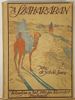 Dr. Sebők Imre - A Szaharában