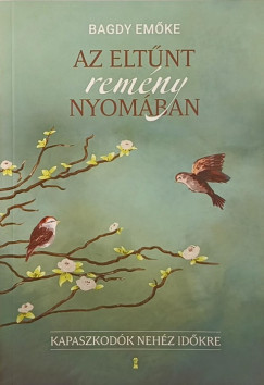 Az eltnt remny nyomban