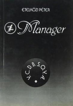 LSI Manager