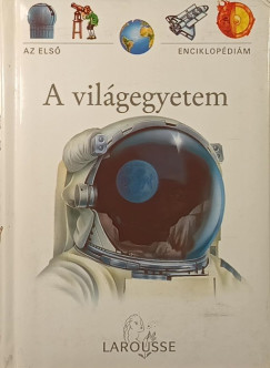 A vilgegyetem