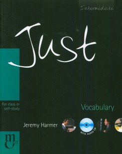 Just Vocabulary with Audio-CD - Intermediate Level