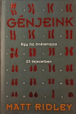 Gnjeink