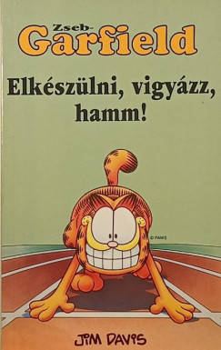 Zseb-Garfield 23.