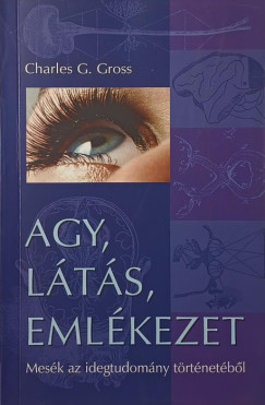 Agy, lts, emlkezet