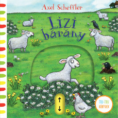 Lizi brny