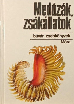 Med�z�k, zs�k�llatok