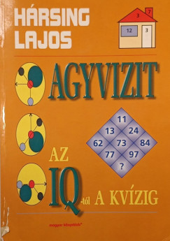Hrsing Lajos - Agyvizit