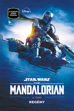 Star Wars: The Mandalorian - 2. vad - Regny