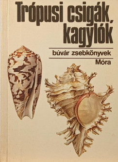 Tr�pusi csig�k, kagyl�k