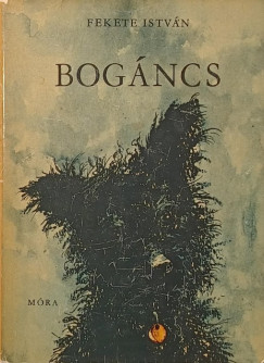 Bogncs