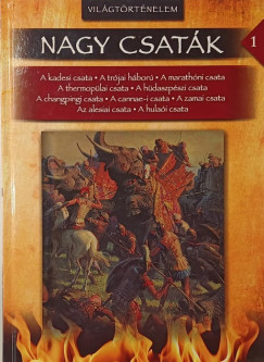 Jay Akhtar   (Szerk.) - Nagy csatk 1.
