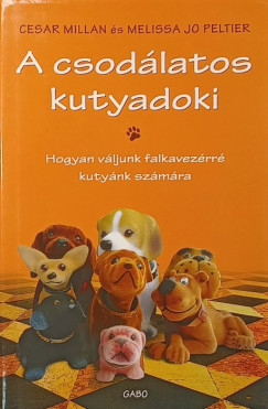 A csod�latos kutyadoki