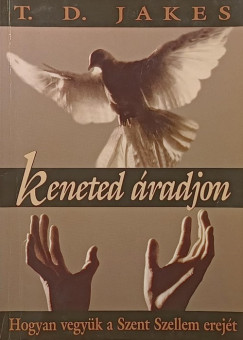 Keneted radjon
