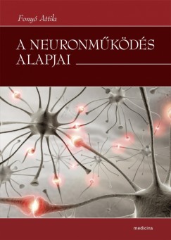 A neuronmkds alapjai