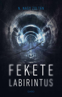 Fekete labirintus