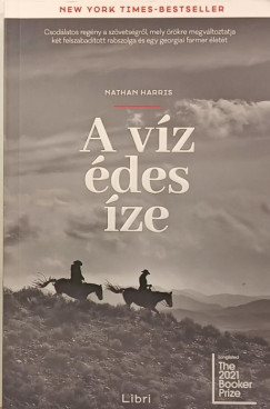 A v�z �des �ze