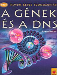 A gnek s a DNS