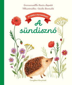 Emmanuelle Kecir-Lepetit - A s�ndiszn�