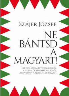 Ne bntsd a magyart! - Gondolatok a bevndorlsrl, a Fideszrl, Magyarorszgrl, Alaptrvnynkrl s Eurprl