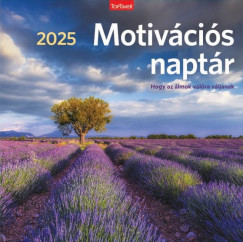 Motivcis naptr - Lemeznaptr - 58x29 cm - 2025