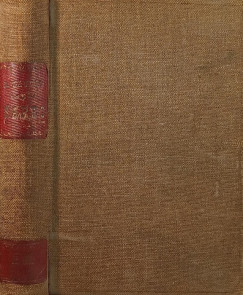 Alphonse Daudet - Sapho (francia nyelv�)