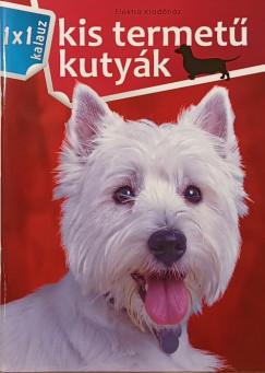 Kis termet� kuty�k