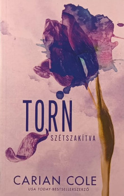 Torn - Sz�tszak�tva