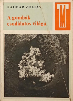 A gombk csodlatos vilga