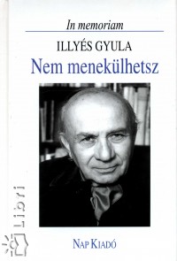 Domokos Mtys   (Szerk.) - Nem meneklhetsz - In memoriam Illys Gyula
