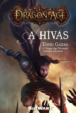 David Gaider - A Hvs