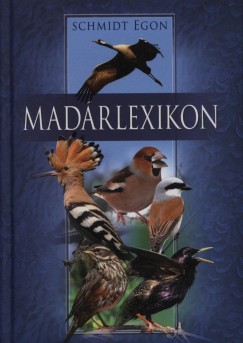 Madrlexikon