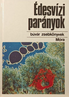 desvzi parnyok 1.