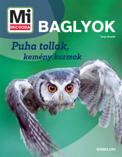 Baglyok - Mi MICSODA �J