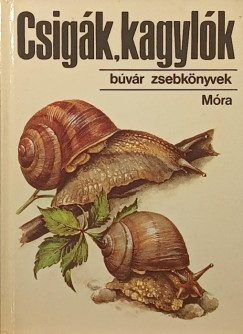 Csig�k, kagyl�k
