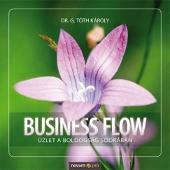 G. Tth Kroly - Business Flow