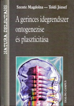 A gerinces idegrendszer ontogenezise s plaszticitsa