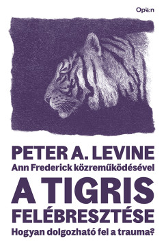 A tigris felbresztse
